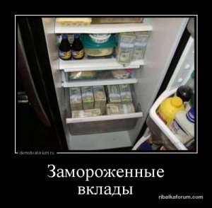 1486025753_demotivatory-4.jpg