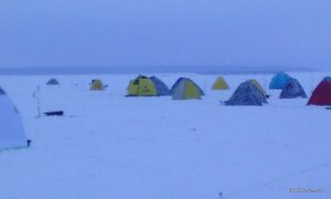 IMG_20170203_072812.jpg