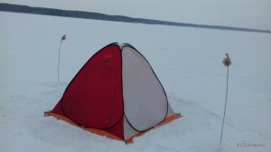 20170202_144000.jpg