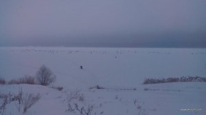 IMG_20170204_072614.jpg