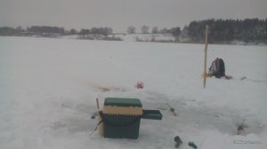 IMG_20170204_093627_1.jpg