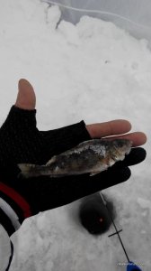 IMG_20170204_115801.jpg