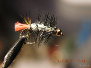 DSCN3884.JPG