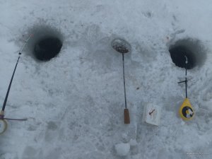 IMG_20170204_105708.jpg