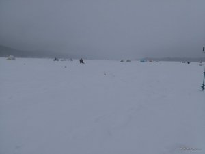 IMG_20170204_105713.jpg