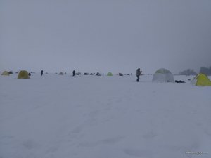 IMG_20170204_105719.jpg