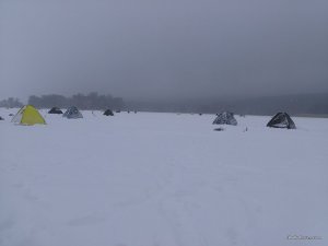 IMG_20170204_105725.jpg