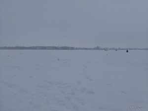 IMG_20170204_105742.jpg