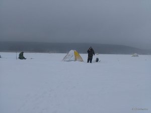 IMG_20170204_105728.jpg