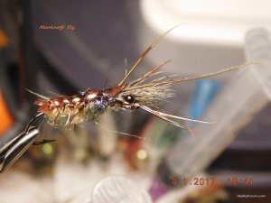 DSCN3889.JPG