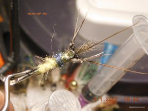 DSCN3890.JPG