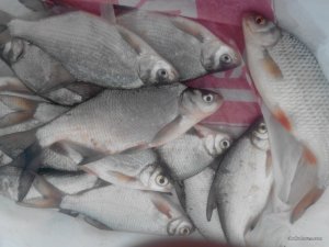 2017204123311.jpg