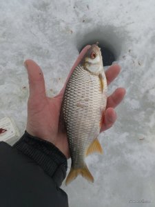 IMG_20170204_131332.jpg