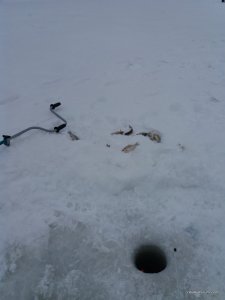 20170205_094002.jpg