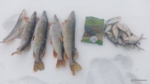IMG_20170205_150758.jpg