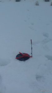 20170205_110136.jpg