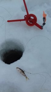 20170205_110500.jpg