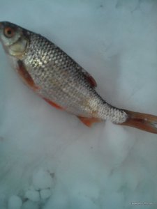 IMG_20170205_155145.jpg