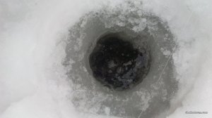IMG_20170205_091337.jpg