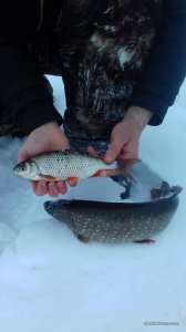 20170205_160008.jpg