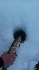 20170205_155824.jpg