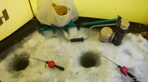 IMG_20170205_093830.jpg