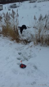 20170205_144913.jpg