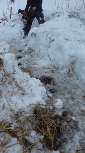 20170205_144925.jpg