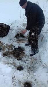 20170205_144958.jpg