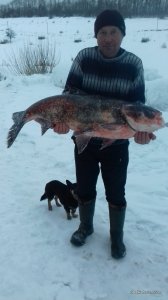 20170205_160925.jpg