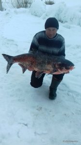 20170205_160955.jpg