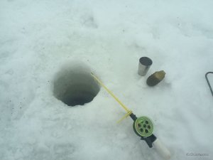 IMG_20170205_110741.jpg