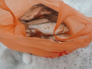 IMG_20170205_135553.jpg