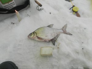 DSCN3714.JPG