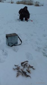 20170206_141636.jpg