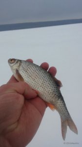 20170205_152920.jpg