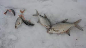 20170205_140233.jpg