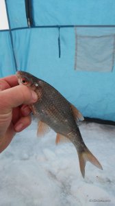 20170205_105619.jpg