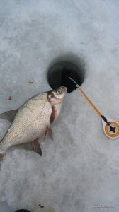 20170205_105549.jpg