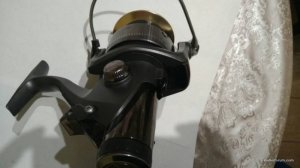IMG_20170208_193303.jpg