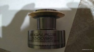 IMG_20170208_193007.jpg