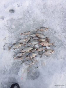 IMG_0735.JPG
