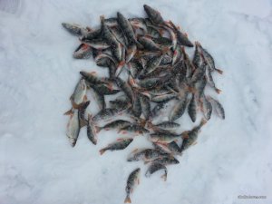 20170210_143930.jpg