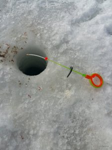 20170210_115656.jpg