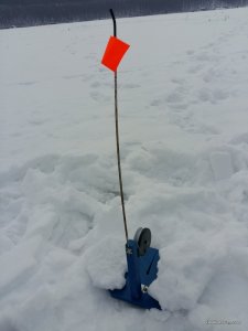20170210_150107.jpg