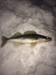 IMG_2366.JPG