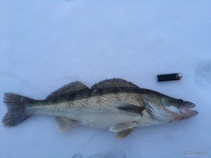 IMG_2390.JPG