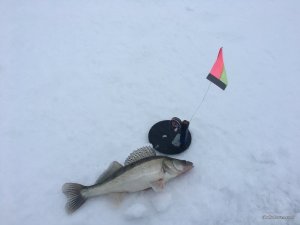 IMG_2400.JPG