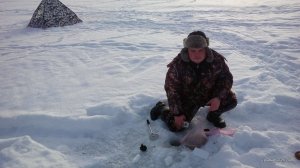 IMG_20170210_080634.jpg