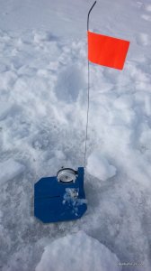 IMG_20170210_111408.jpg